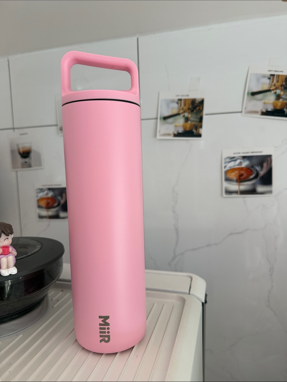 Starbucks Pink Insulated Bottle with Handle